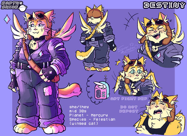 EARTHSHINE - Destiny Character Sheet
